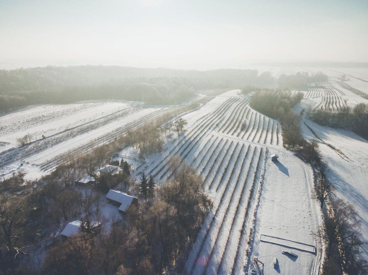 Chata Nad Wawozem Naleczow Exterior foto